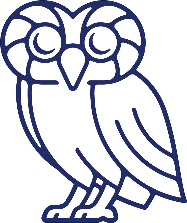 blue rice owl
