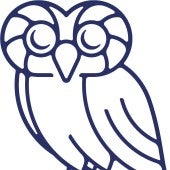 blue rice owl